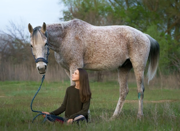 Uma garota se senta em um campo e segura um cavalo cinza pulguento em um cabresto azul pela corda da cabeça