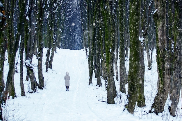 Uma garota solitária caminha no parque no inverno durante uma nevasca