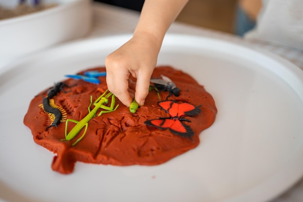 Uma garotinha brincando com plasticina e brinquedos, desenvolvimento sensorial de insetos e experiências temáticas ac