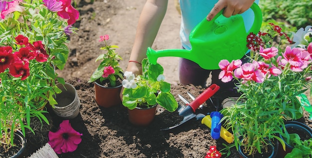 Uma garotinha está plantando flores.