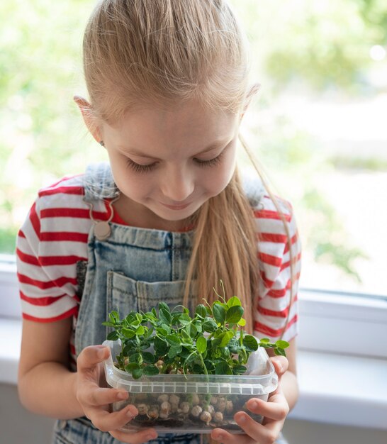 Uma garotinha na janela observa como as ervilhas microgreen crescem