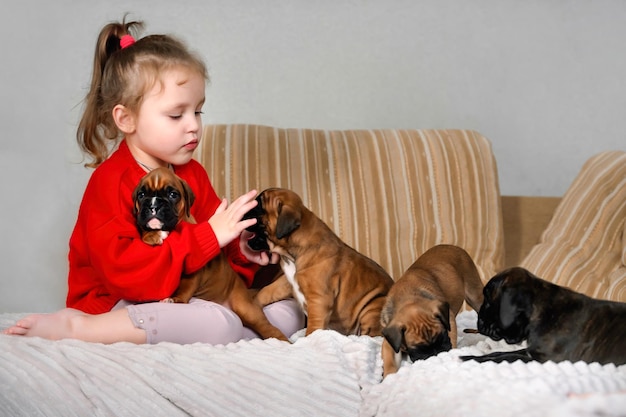 Uma garotinha se senta no sofá em casa e brinca com cachorrinhos