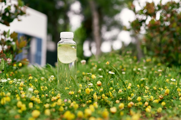 Uma garrafa de água com uma rodela de limão dentro fica em um prado verde entre flores silvestres