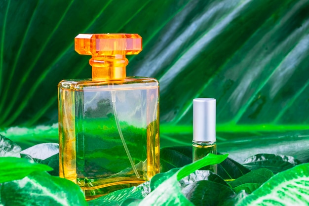 Uma garrafa de perfume e perfume natural em um fundo frondoso.