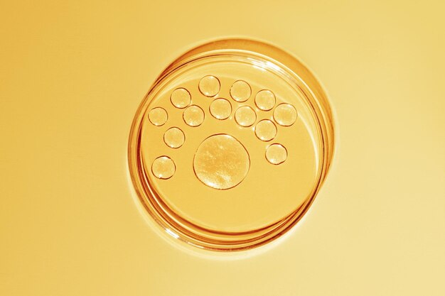 Uma gota grande e muitas gotas pequenas de ouro líquido Ou amarelo líquido com brilhos Em uma placa de Petri sobre um fundo amarelo Brilho de cosméticos de química de laboratório
