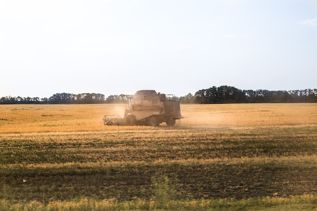 Foto uma grande colheitadeira trabalha na colheita de grãos