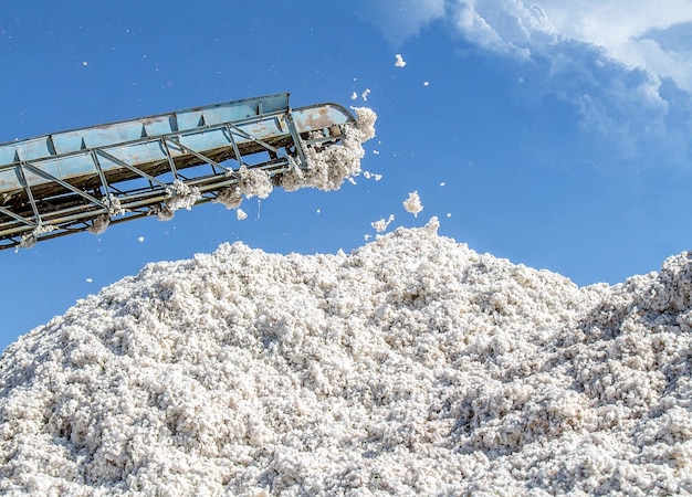 Uma grande pilha de algodão bruto contra o céu em uma planta de algodões