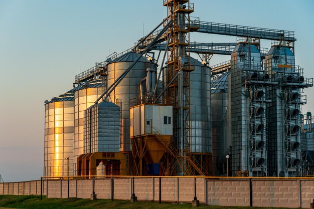 Uma grande planta moderna localizada perto de um campo de trigo para armazenamento e processamento de culturas de grãos vista do celeiro iluminado pela luz do sol poente contra a temporada de colheita do céu azul