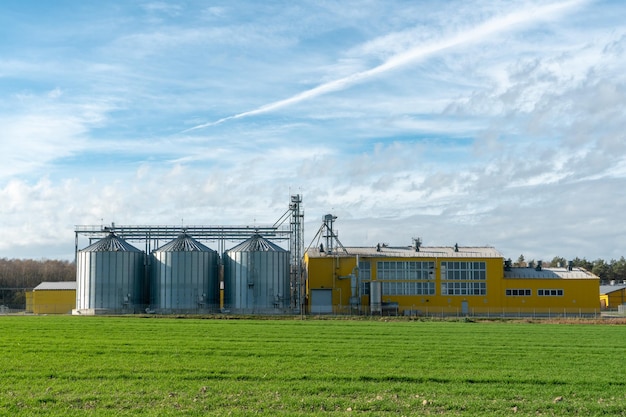 Uma grande planta moderna para o armazenamento e processamento de culturas de grãos vista do celeiro em um dia ensolarado Grandes barris de ferro de silos de prata de grãos na planta de fabricação agro para processamento e secagem