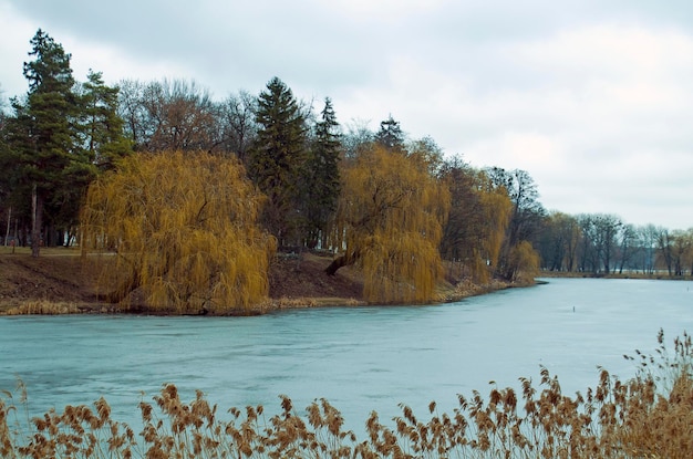 Uma imagem de um belo parque no inverno lago congelado paisagem de inverno com lago coberto de gelo