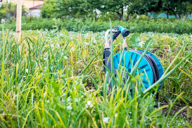 Uma imagem de uma mangueira de jardim. mangueira de irrigação