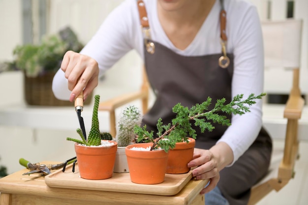 Uma jovem asiática gosta de jardinagem em casa Conceito de saúde e bem-estar