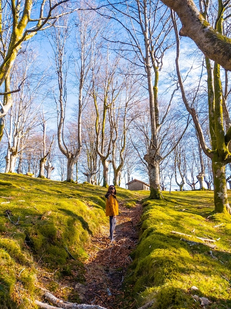 Uma jovem caminhando ao longo do caminho da floresta de faias Oianleku, na cidade de Oiartzun, Gipuzkoa. país Basco