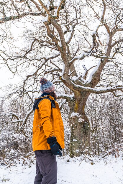 Uma jovem com uma jaqueta amarela sob uma bela árvore gigante congelada pelo frio do inverno. Neve na cidade de Opakua perto de Vitória