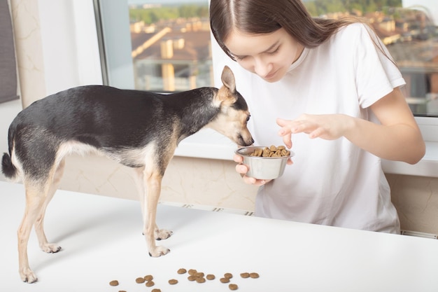 Uma jovem em roupas de casa dá comida para um cachorro pequeno parece em sua tigela