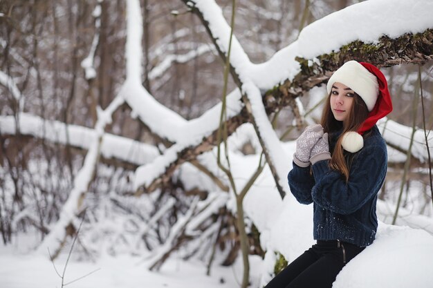 Uma jovem em um parque de inverno em uma caminhada. Férias de Natal na floresta de inverno. Garota gosta de inverno no parque.