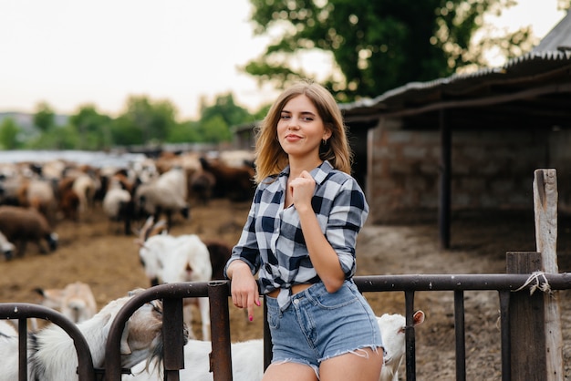 Uma jovem garota bonita posa em um rancho com cabras e outros animais. agricultura, pecuária.