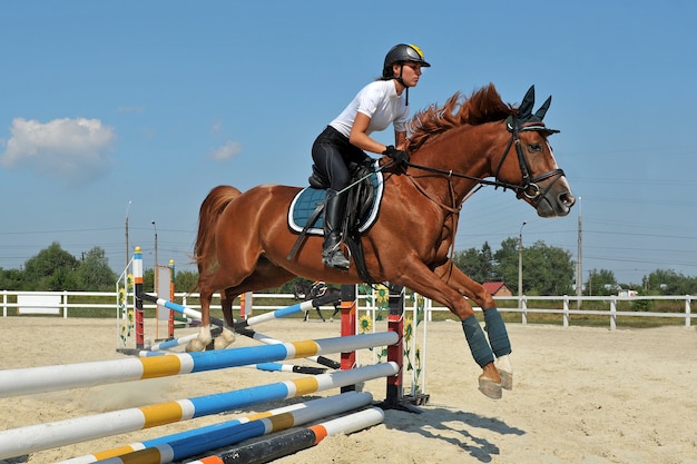 Uma jovem garota em seu cavalo baio pula uma barreira em competições equestres.