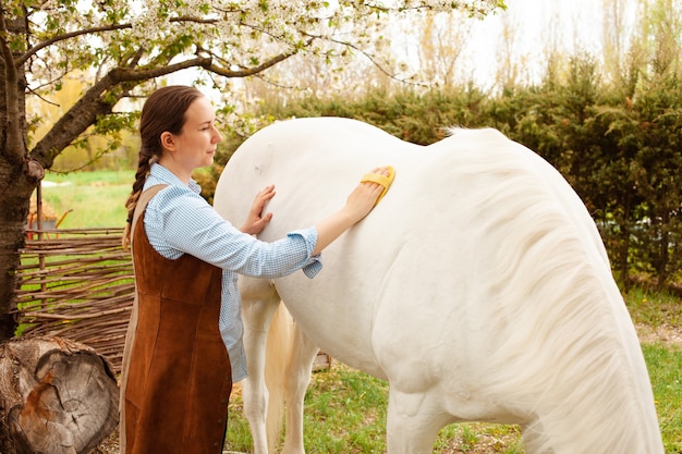 Uma jovem limpa um cavalo branco com uma escova amarela na natureza