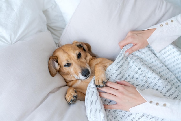 Uma jovem linda em roupas casuais abraça e acaricia seu amado cachorro sentado