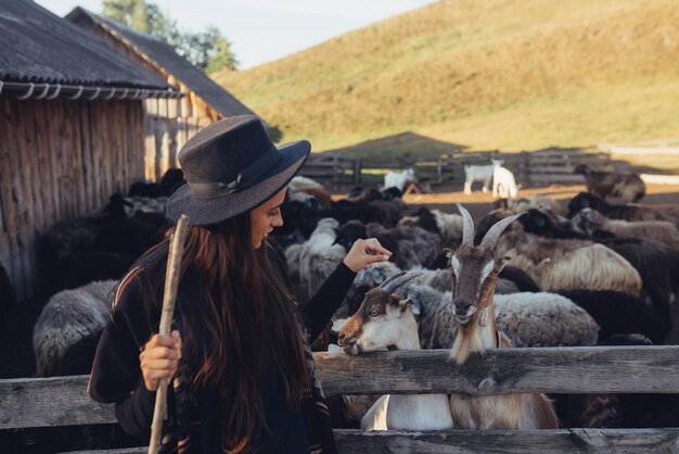 Uma jovem linda perto de uma caneta com cabras