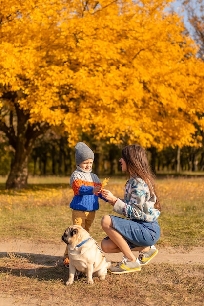 Uma jovem mãe com uma criança e um cão pug em um passeio de outono em um parque colorido