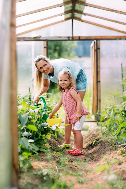 Uma jovem mãe e sua pequena filha juntas regam as plantas na infância na estufa