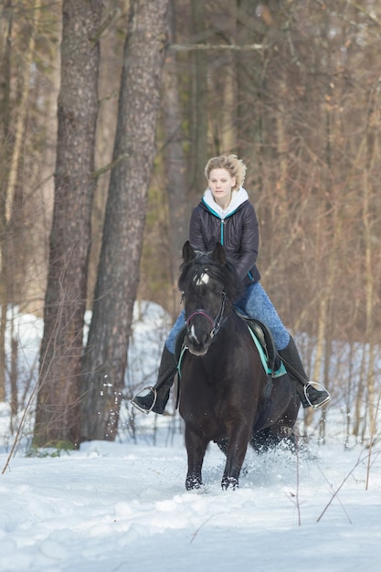 Uma jovem montando um cavalo preto na floresta