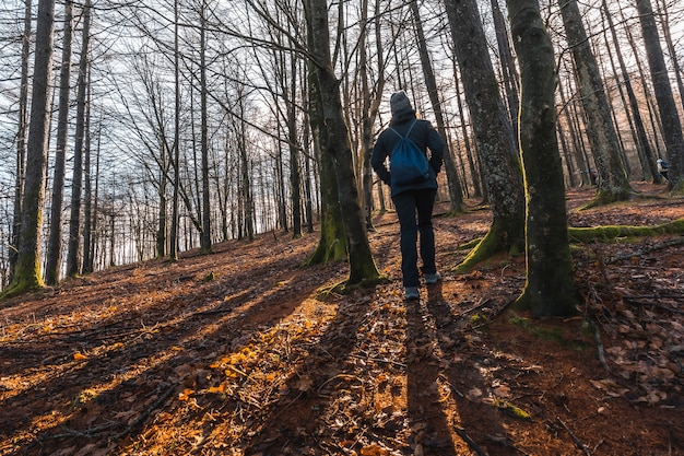 Uma jovem mulher ao amanhecer na floresta na montanha de Aiako Harria, Guipuzcoa. país Basco