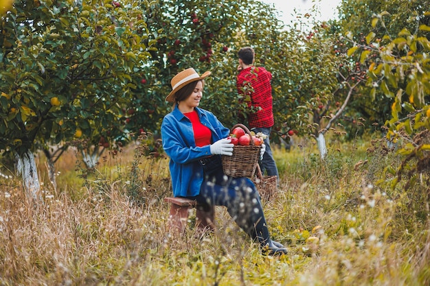 Uma jovem mulher com um chapéu colhe maçãs vermelhas suculentas Uma mulher segura uma cesta de vime com maçãs pomar