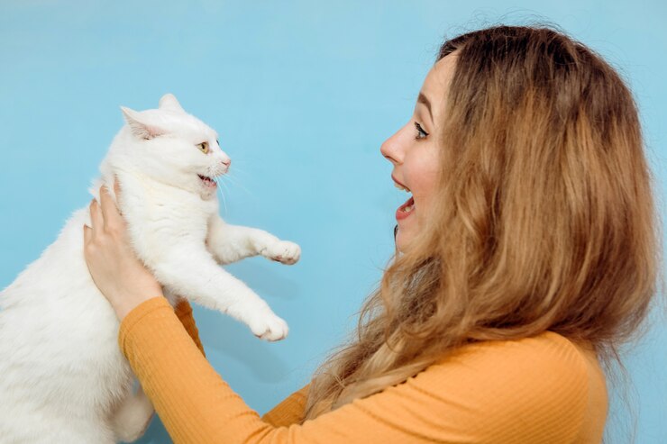 Foto uma jovem mulher está segurando um gato branco nos braços.