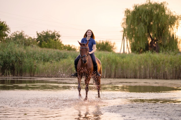 Uma jovem mulher que monta um cavalo em um lago raso. Um cavalo corre na água ao pôr do sol. Cuide e ande com o cavalo. Força e Beleza