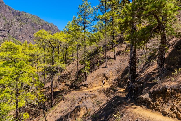 Uma jovem na bela trilha de caminhada de la cumbrecita, na ilha de la palma, ao lado da caldera de taburiente, nas ilhas canárias. espanha