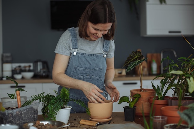 Uma jovem na cozinha está transplantando plantas verdes caseiras em vasos