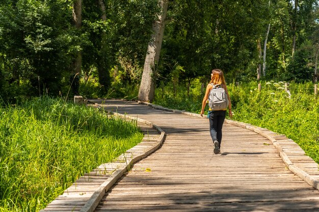 Uma jovem na trilha ao longo de uma ponte pedonal entre La Garette e Coulon, Marais Poitevin the Green Venice, perto da cidade de Niort, França