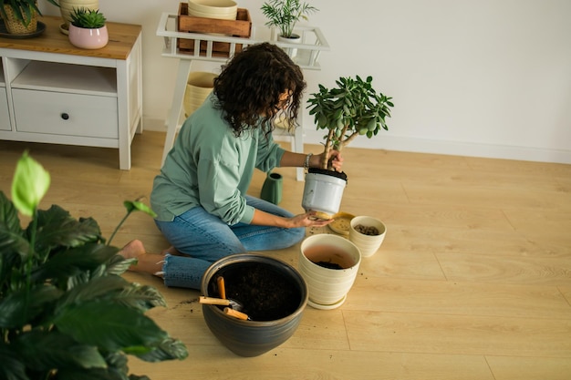 Uma jovem sorridente e uma panela com um trabalho feliz de planta no jardim interno ou um escritório doméstico aconchegante com diferentes