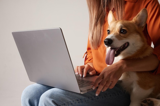 Foto uma jovem trabalha em casa em um laptop ao lado de seu cachorro domestic corgi cachorro olhando para o laptop amor por animais