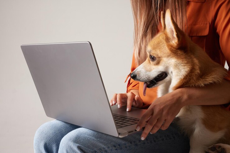 Foto uma jovem trabalha em casa em um laptop ao lado de seu cachorro domestic corgi cachorro olhando para o laptop amor por animais
