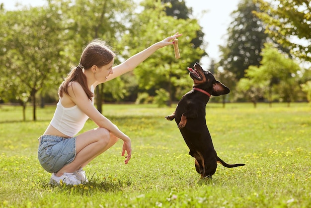 uma jovem treina um cachorro bassê no parque em um dia ensolarado um cachorro com um osso