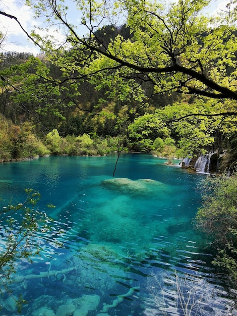 Foto uma lagoa nas profundezas das montanhas