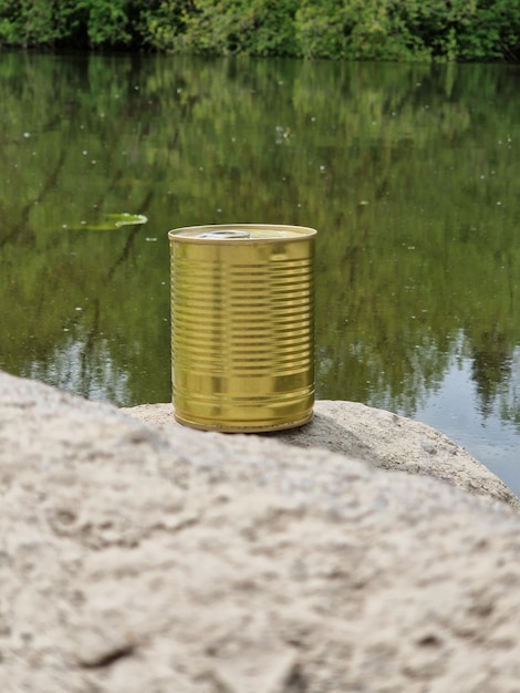 Uma lata de ouro fica em uma pedra ao lado de um lago.