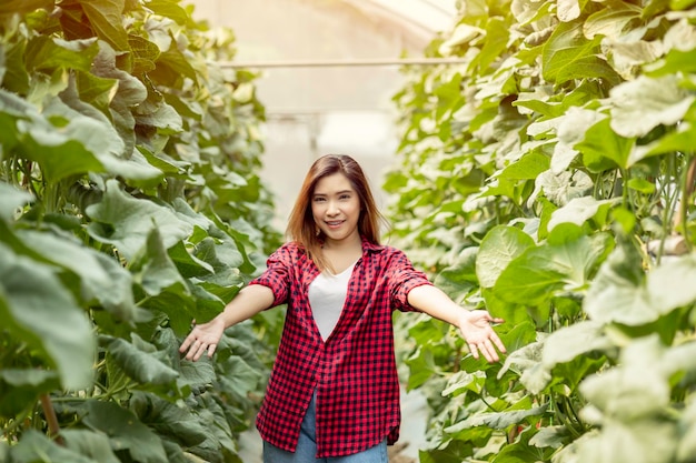 Uma linda e feliz mulher asiática possui uma plantação de melão doce Agricultores felizes em receber dinheiro