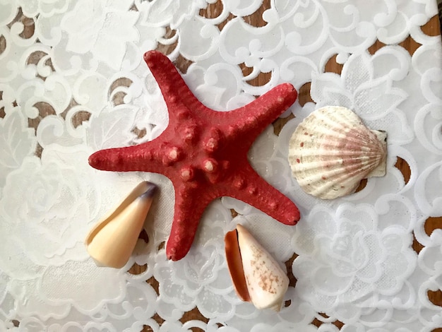 Uma linda estrela do mar vermelha está adornada com conchas em um fundo de pano branco Fundo marinho