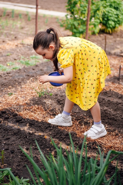 Uma linda garota em um vestido amarelo derrama sementes de vegetais ou flores em uma cama de jardim vegetais orgânicos ...