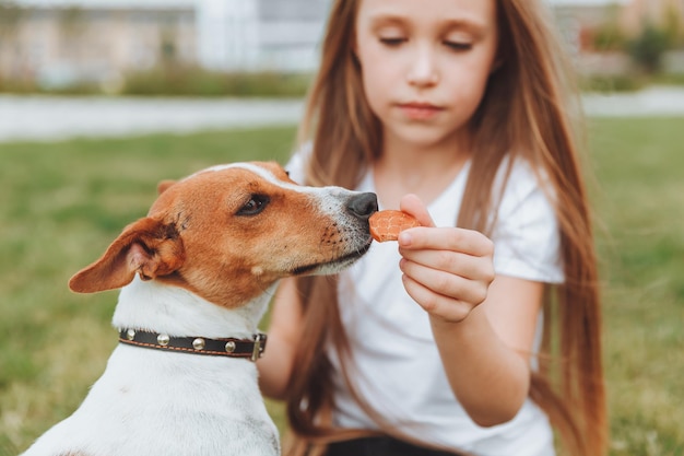 Uma linda garotinha alimenta um cachorro na palma de sua mão amizade de crianças e animais de estimação alimentação de animais Jack Russell Terrier