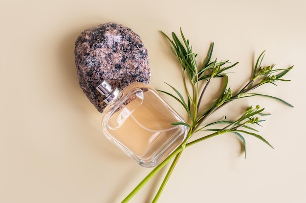 Uma linda garrafa de vidro com perfume masculino ou água de toalete está sobre um granito de pedra sobre um fundo bege com fragrância de apresentação de plantas verdes