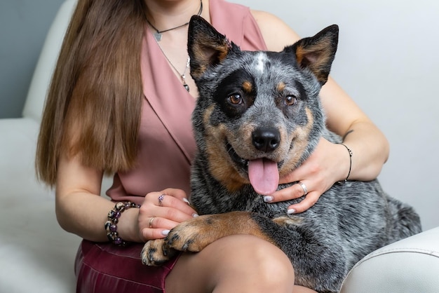 uma linda loira está sentada no sofá e abraçando um cão curandeiro