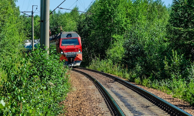 Uma locomotiva elétrica com carros anda sobre trilhos no meio da floresta.