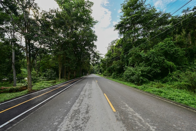 Uma longa estrada no parque nacional.