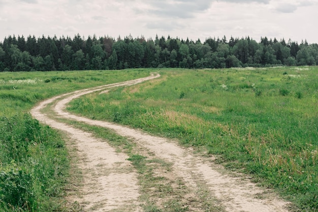 Uma longa estrada sinuosa através de um campo verde florido na aldeia uma estrada empoeirada sem asfalto Oi